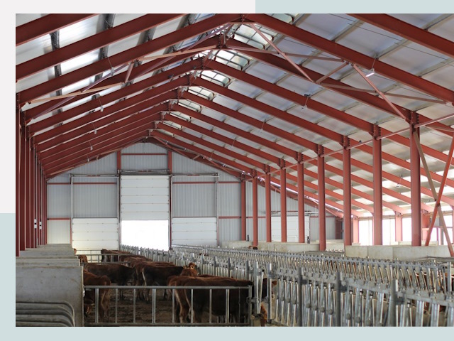 Строительство коровников в Воронеже