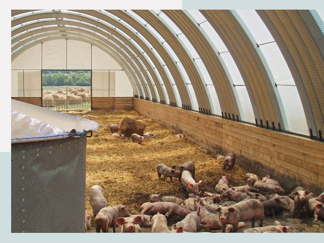 Строительство свинарников в Воронеже