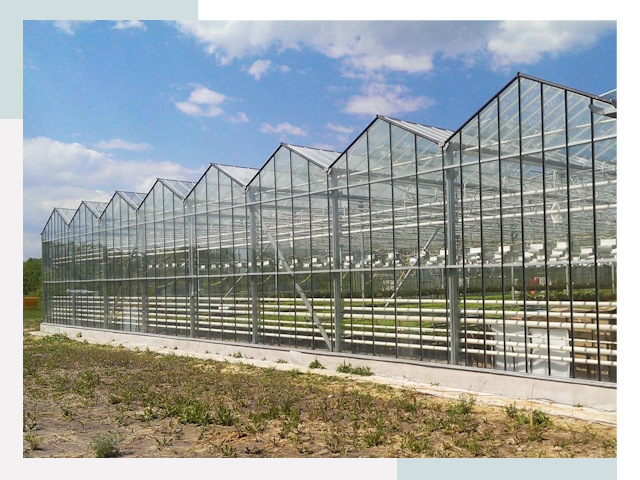 Строительство теплиц в Воронеж от 644 руб. за м²