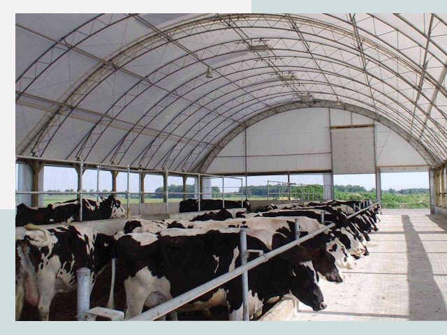 Тентовые коровники в Воронеже